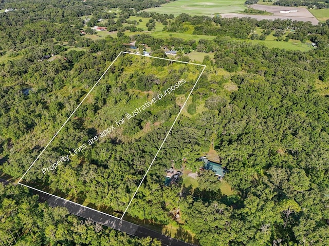 5900 N Dormany Rd, Plant City, FL 33565 - photo 1