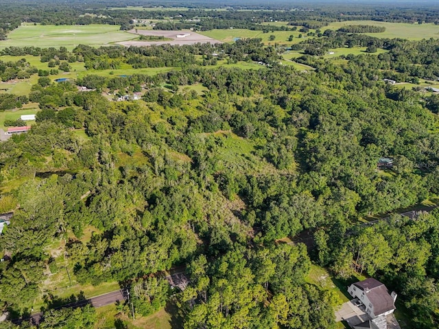 5900 N Dormany Rd, Plant City, FL 33565 - photo 2