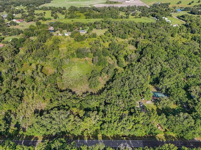 5900 N Dormany Rd, Plant City, FL 33565 - photo 3
