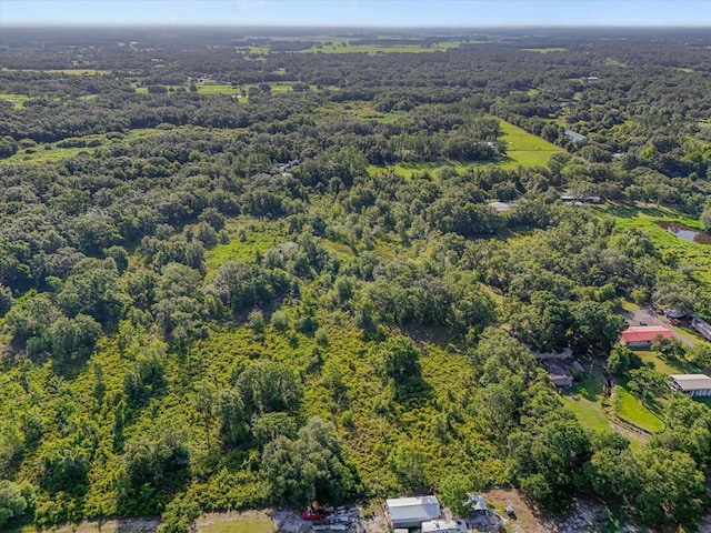 5900 N Dormany Rd, Plant City, FL 33565 - photo 4