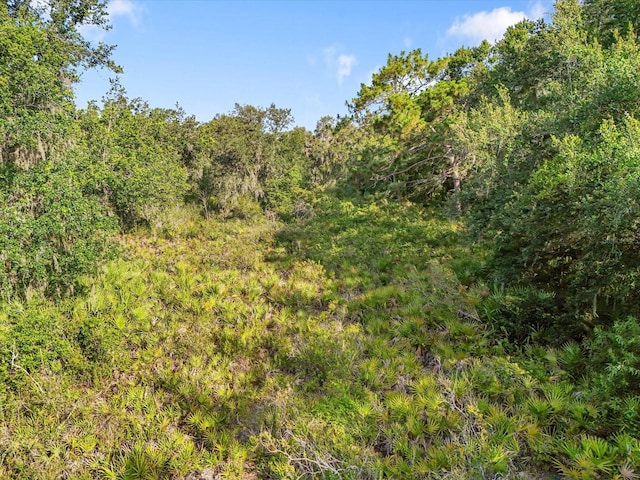 5900 N Dormany Rd, Plant City, FL 33565 - photo 6