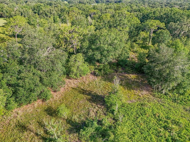 5900 N Dormany Rd, Plant City, FL 33565 - photo 7
