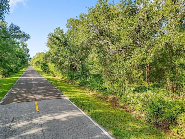 5900 N Dormany Rd, Plant City, FL 33565 - photo 8