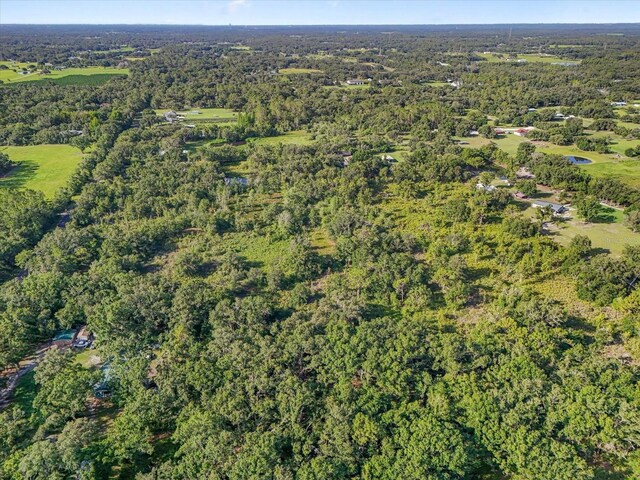 5900 N Dormany Rd, Plant City, FL 33565 - photo 9
