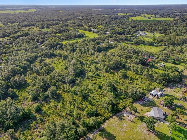 5900 N Dormany Rd, Plant City, FL 33565 - photo 10
