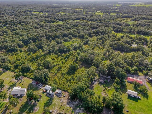 5900 N Dormany Rd, Plant City, FL 33565 - photo 11