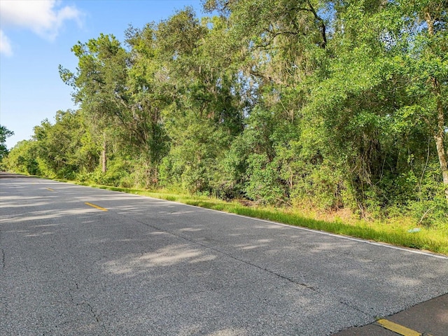 5900 N Dormany Rd, Plant City, FL 33565 - photo 12