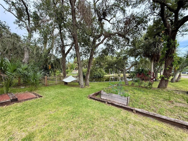 9501 Alice Ln, Riverview, FL 33578 - view of yard with a garden