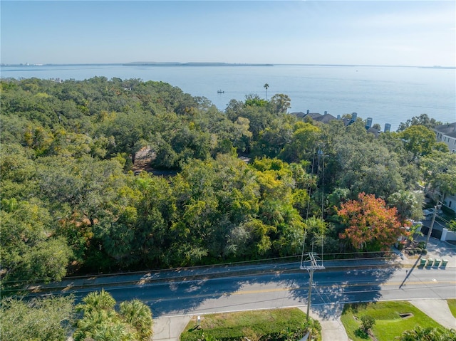 6210 Bayshore Blvd, Tampa, FL 33611 - photo 15
