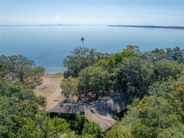 6210 Bayshore Blvd, Tampa, FL 33611 - photo 28
