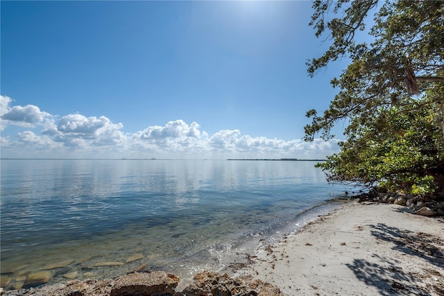 6210 Bayshore Blvd, Tampa, FL 33611 - photo 9