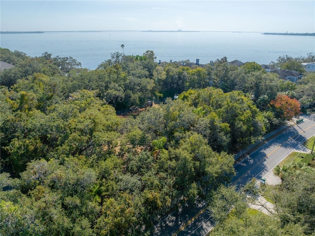 6210 Bayshore Blvd, Tampa, FL 33611 - photo 11
