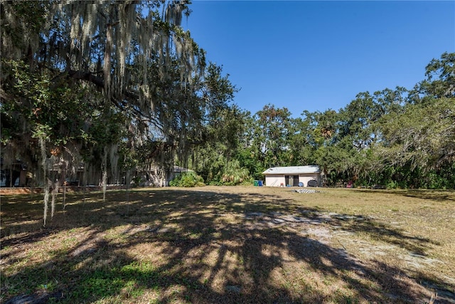 6210 Bayshore Blvd, Tampa, FL 33611 - photo 12