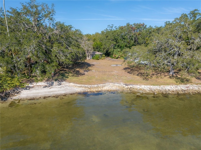 6210 Bayshore Blvd, Tampa, FL 33611 - photo 23