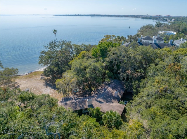 6210 Bayshore Blvd, Tampa, FL 33611 - photo 29