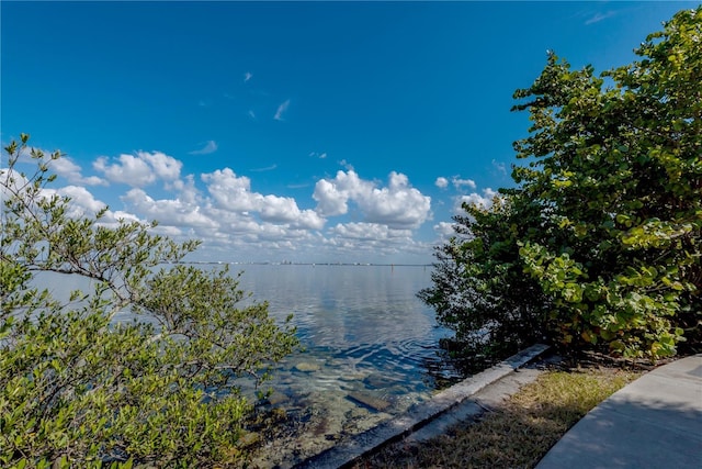 6210 Bayshore Blvd, Tampa, FL 33611 - photo 37