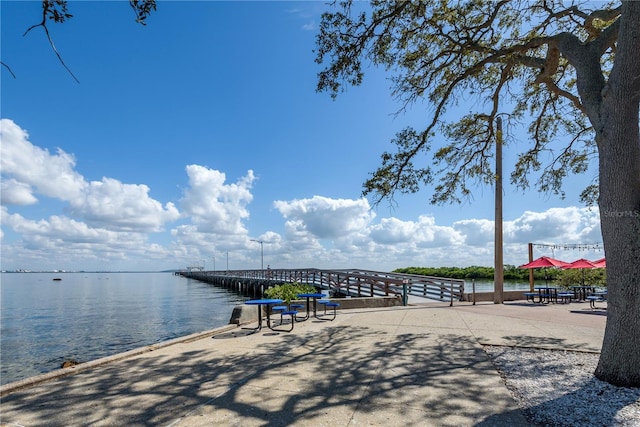6210 Bayshore Blvd, Tampa, FL 33611 - photo 38