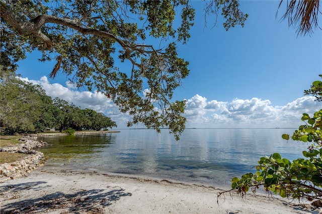 6210 Bayshore Blvd, Tampa, FL 33611 - photo 2