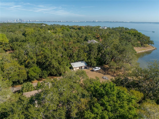 6210 Bayshore Blvd, Tampa, FL 33611 - photo 3