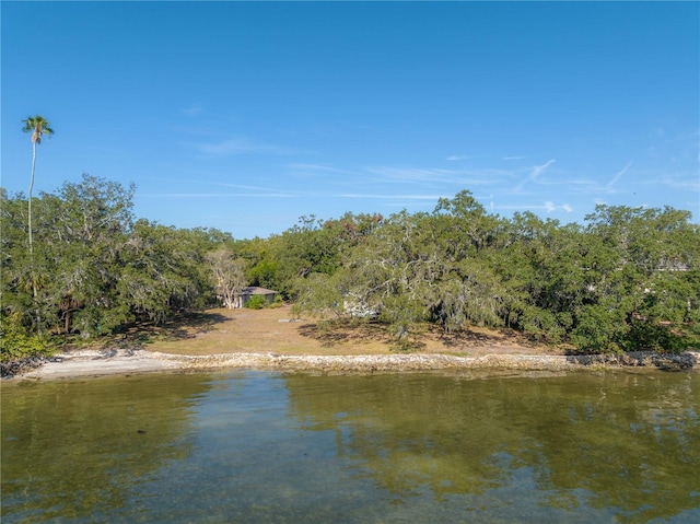 6210 Bayshore Blvd, Tampa, FL 33611 - photo 4