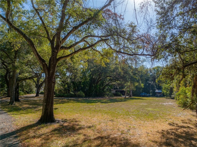 6210 Bayshore Blvd, Tampa, FL 33611 - photo 6
