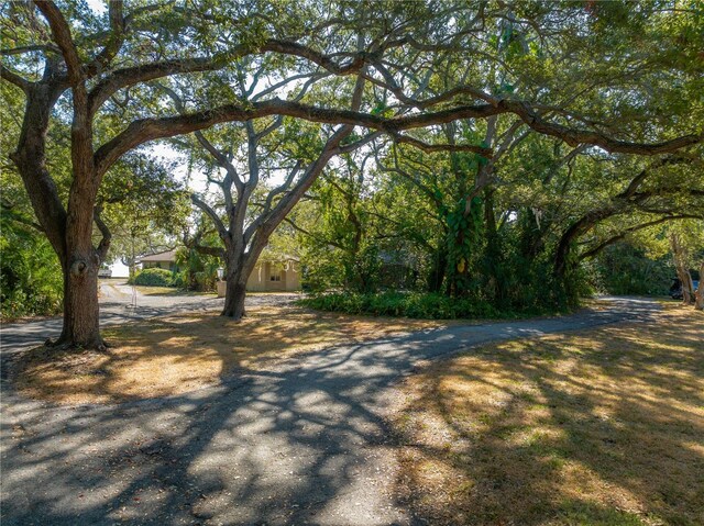 6210 Bayshore Blvd, Tampa, FL 33611 - photo 7