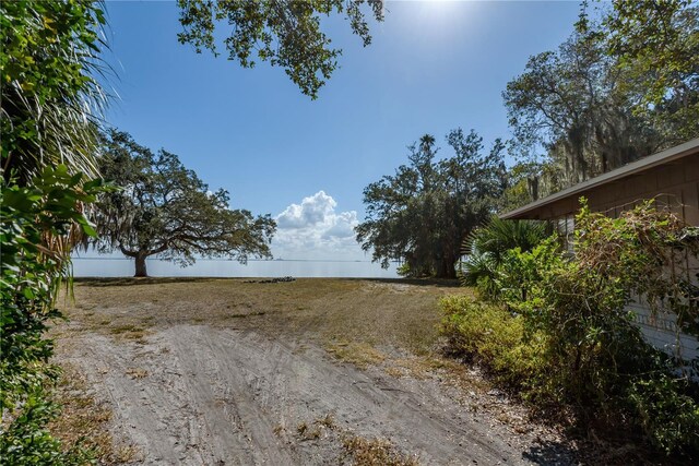 6210 Bayshore Blvd, Tampa, FL 33611 - photo 8