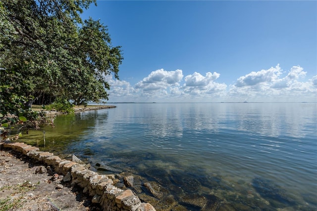 6210 Bayshore Blvd, Tampa, FL 33611 - photo 10