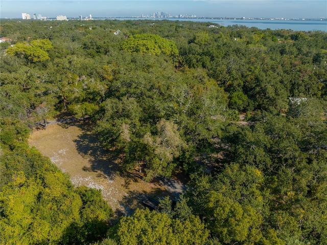6210 Bayshore Blvd, Tampa, FL 33611 - photo 13