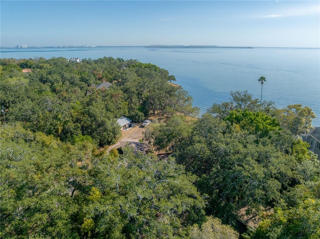 6210 Bayshore Blvd, Tampa, FL 33611 - photo 14
