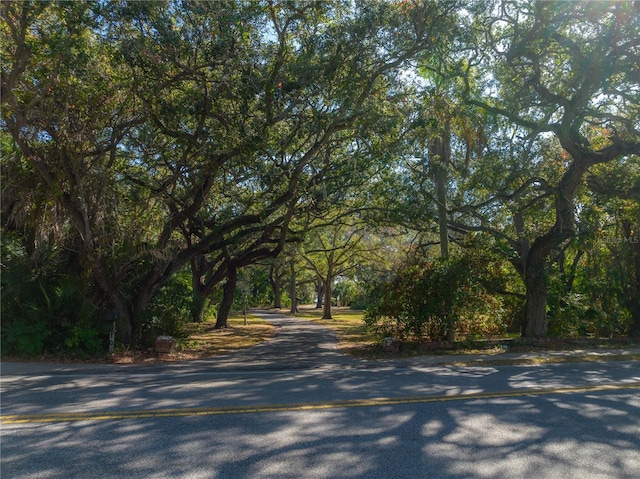 6210 Bayshore Blvd, Tampa, FL 33611 - photo 17
