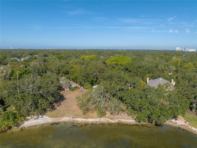 6210 Bayshore Blvd, Tampa, FL 33611 - photo 21