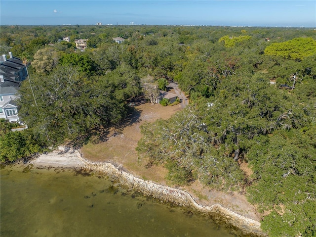 6210 Bayshore Blvd, Tampa, FL 33611 - photo 22