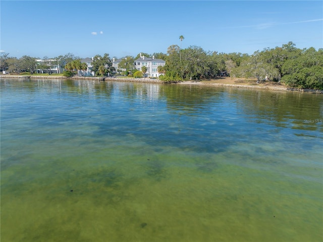 6210 Bayshore Blvd, Tampa, FL 33611 - photo 24