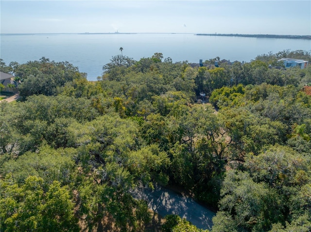 6210 Bayshore Blvd, Tampa, FL 33611 - photo 27