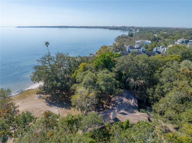 6210 Bayshore Blvd, Tampa, FL 33611 - photo 30