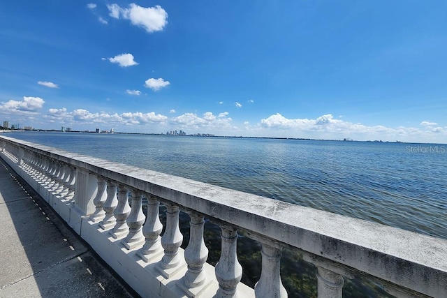6210 Bayshore Blvd, Tampa, FL 33611 - photo 31