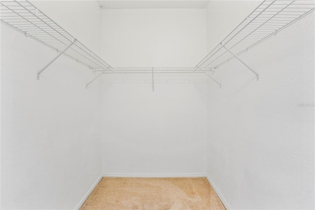 11810 Holly Creek Dr, Riverview, FL 33569 - walk in closet with light colored carpet