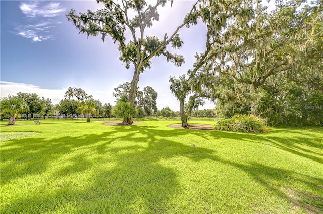 13621 Circa Crossing Dr, Lithia, FL 33547 - view of property's community with a yard