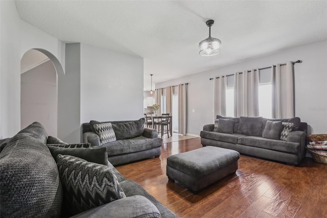 1811 Palm Warbler Ln, Ruskin, FL 33570 - living room featuring wood finished floors and arched walkways
