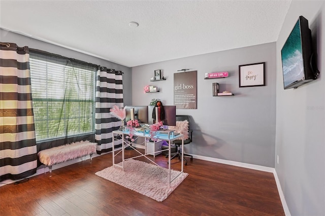 1811 Palm Warbler Ln, Ruskin, FL 33570 - office space with wood finished floors and a textured ceiling