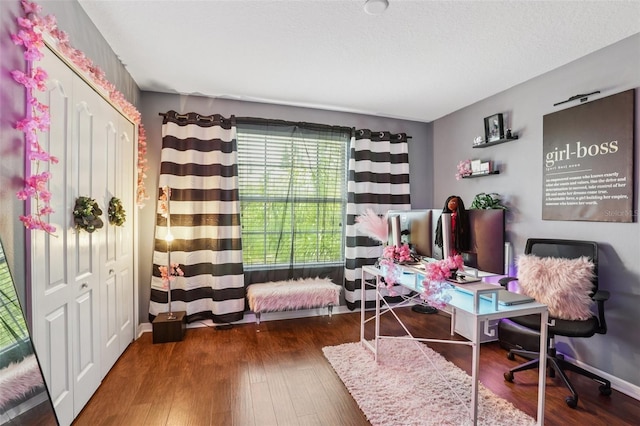 1811 Palm Warbler Ln, Ruskin, FL 33570 - office space with wood finished floors and baseboards