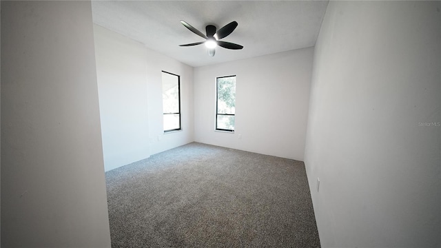2280 Willowbrook Dr, Clearwater, FL 33764 - photo 28