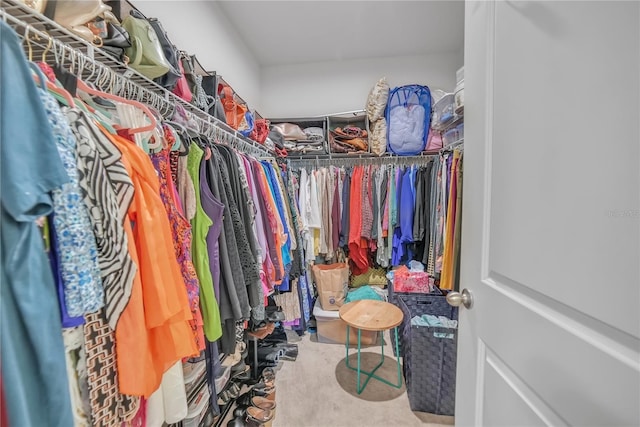 289 Siesta Vista Ct, Davenport, FL 33896 - spacious closet with carpet floors