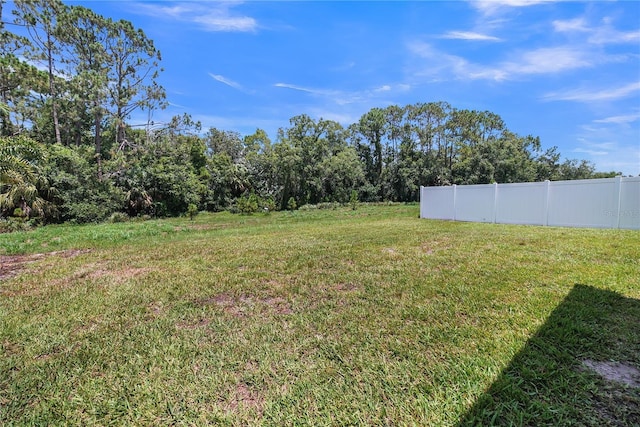 289 Siesta Vista Ct, Davenport, FL 33896 - view of yard