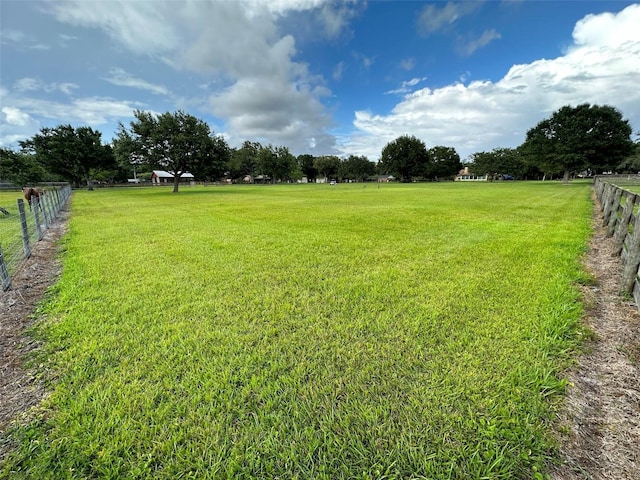 18803 Dorman Rd, Lithia, FL 33547 - photo 11