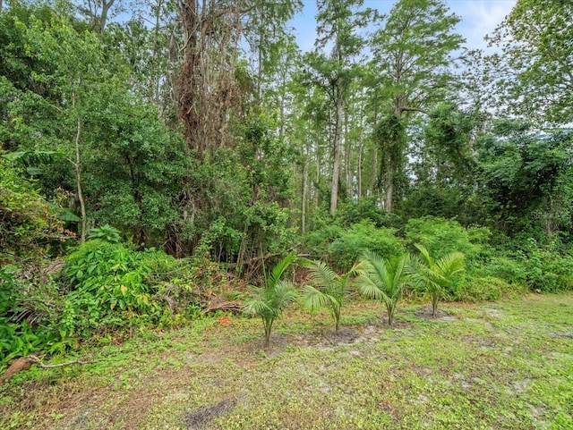 3334 Westmoreland Dr, Tampa, FL 33618 - photo 44