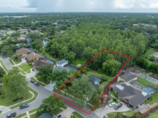 3334 Westmoreland Dr, Tampa, FL 33618 - photo 46