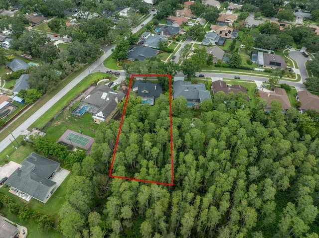 3334 Westmoreland Dr, Tampa, FL 33618 - photo 47