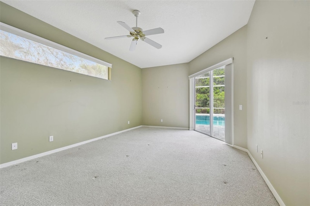 15209 Hammock Chase Ct, Odessa, FL 33556 - photo 17